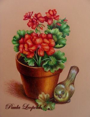 Geraniums Glow